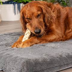 Pet Factory CareChewz baton-braide-collagene-boeuf, 15 morceaux, alternative saine a la mastication.