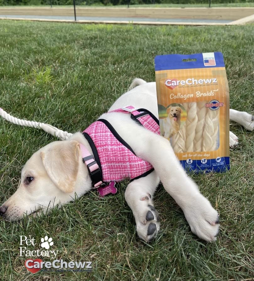 CareChewz Pet Factory : collagene boeuf, lot de 5 friandises.