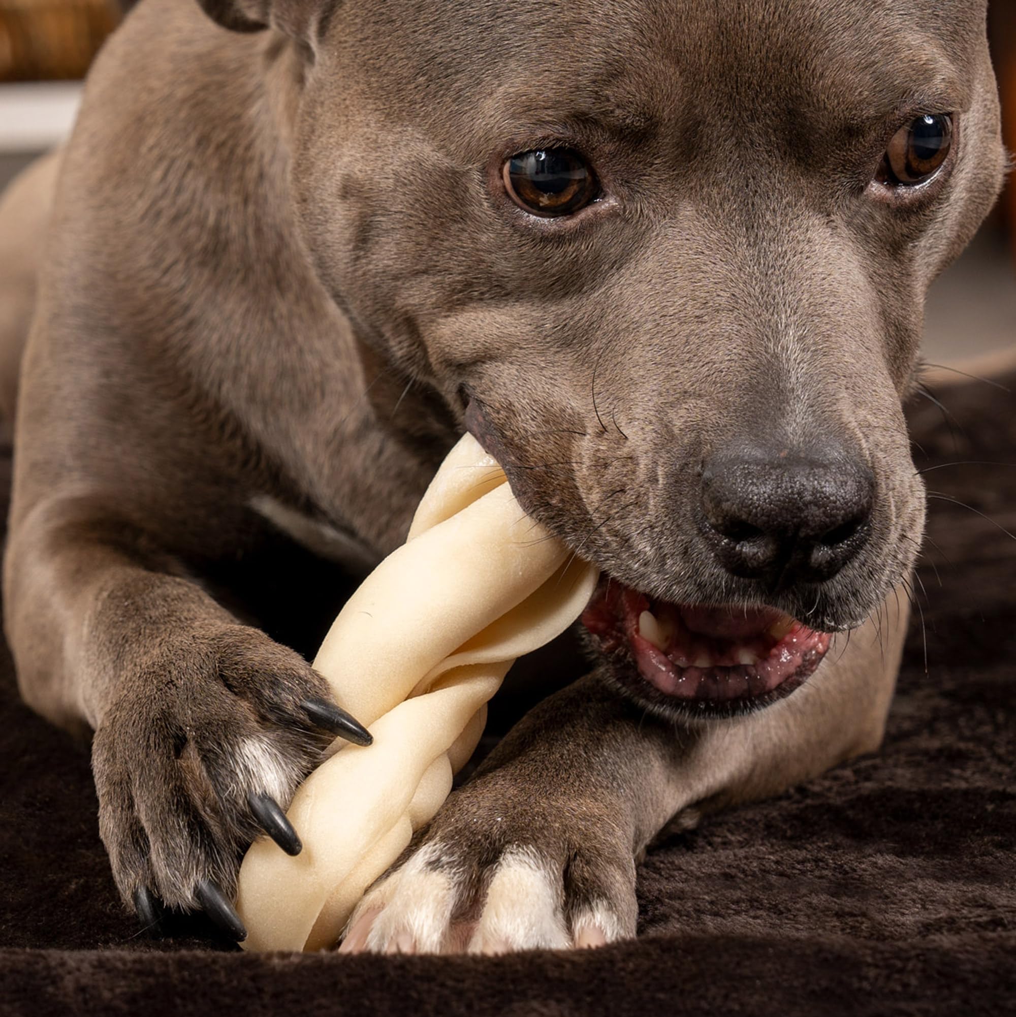 CareChewz collagène torsadé, friandise canine naturelle et durable