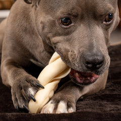 CareChewz collagène torsadé, friandise canine naturelle et durable