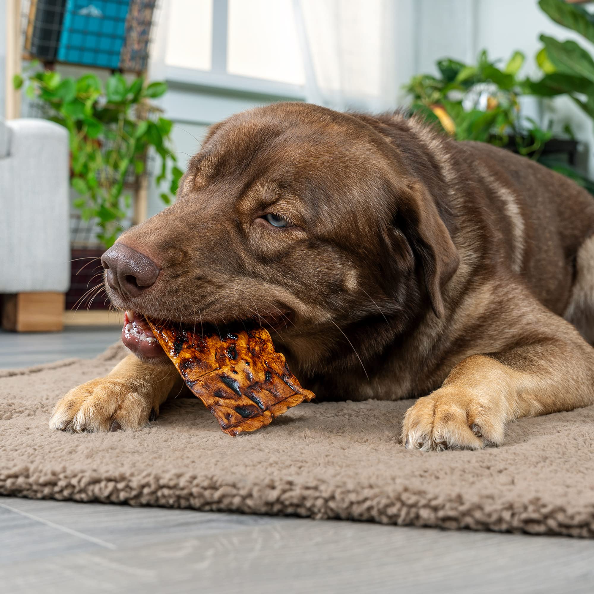 Pet Factory Beefhide Chips emballage — qualité et traçabilité assurées pour votre chien.