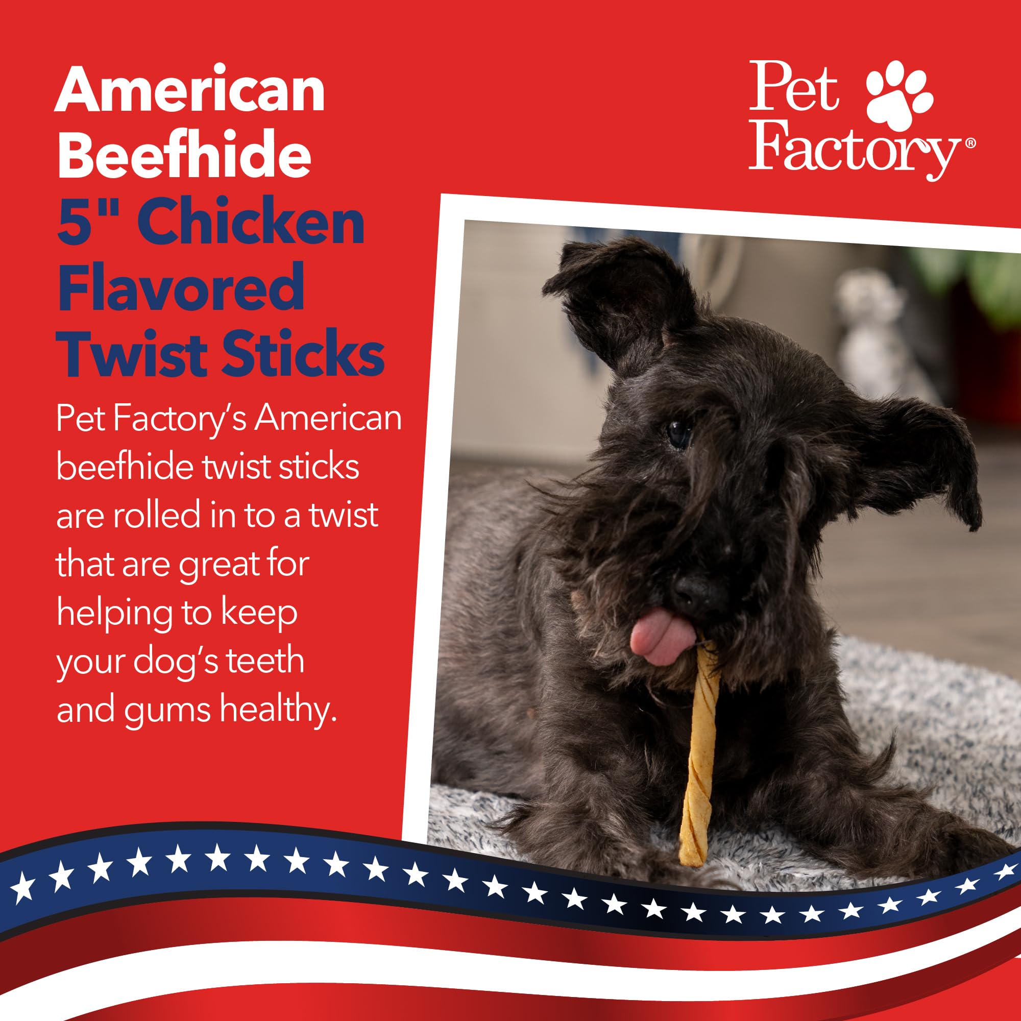 Pet Factory gros plan sur le bâton twist, action nettoyante des dents
