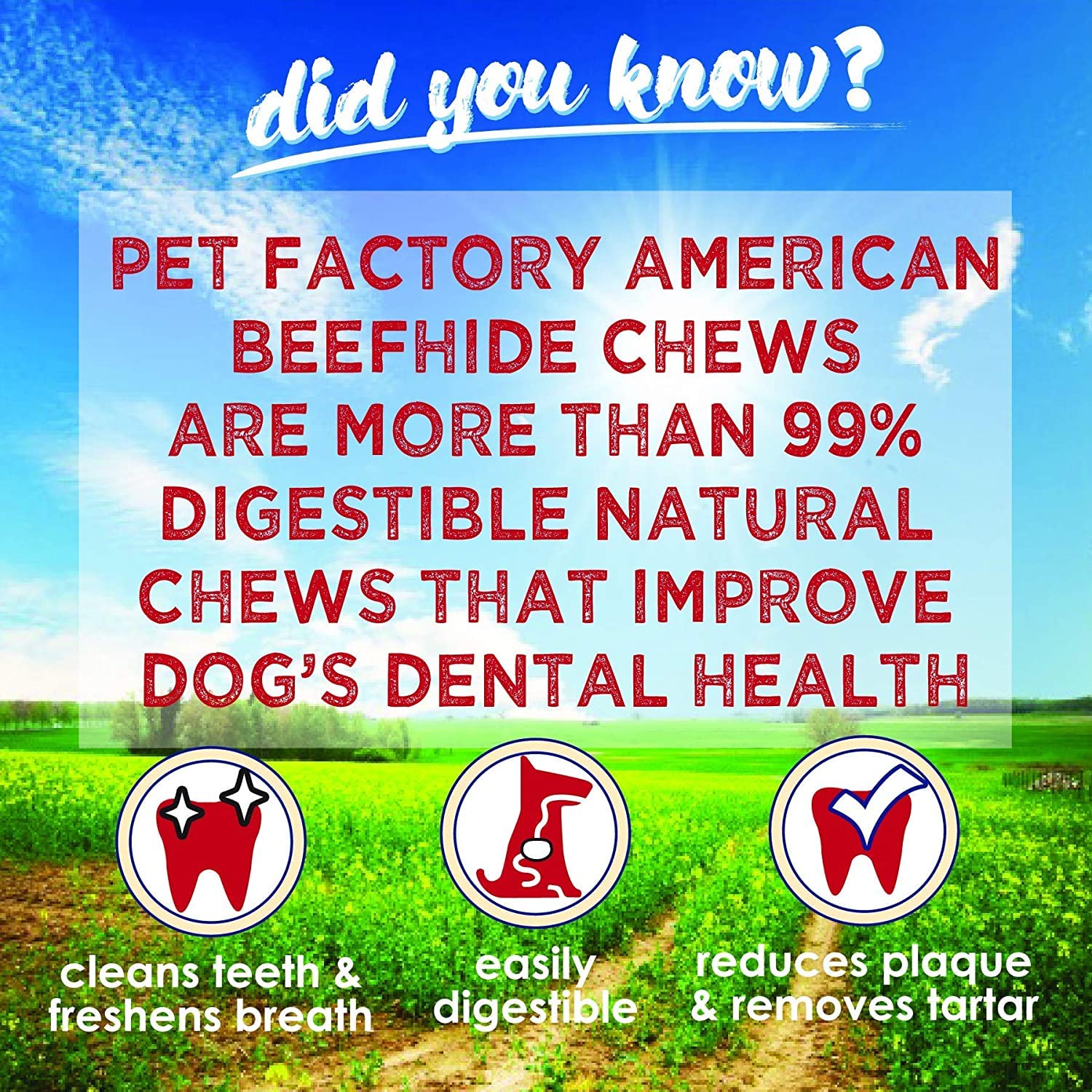 Fabrication aux États-Unis des Chips Pet Factory peau de boeuf américaine