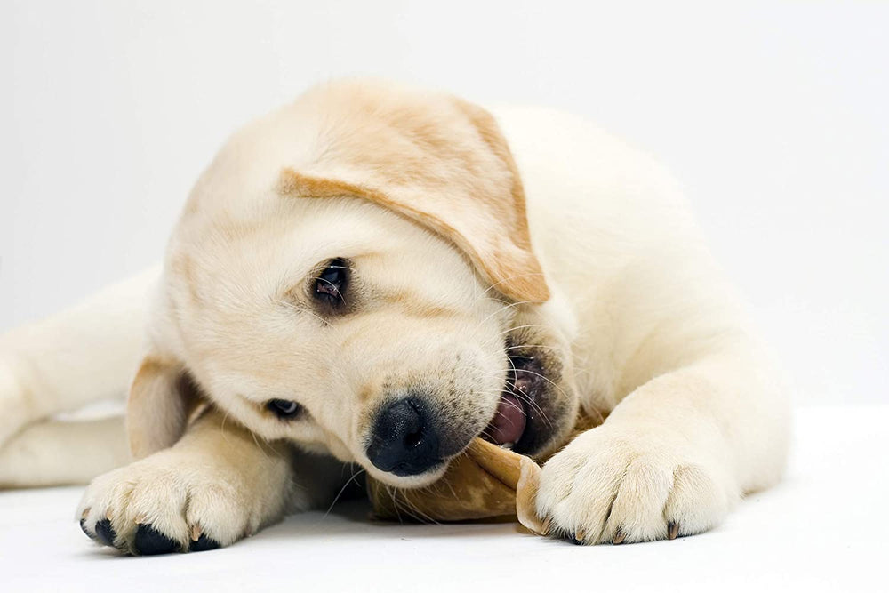 Sécurité et qualité, Chips peau de boeuf américaine Pet Factory