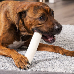 Pet Factory rouleaux-boeuf-8-9 pouces: longue mastication pour chiens actifs