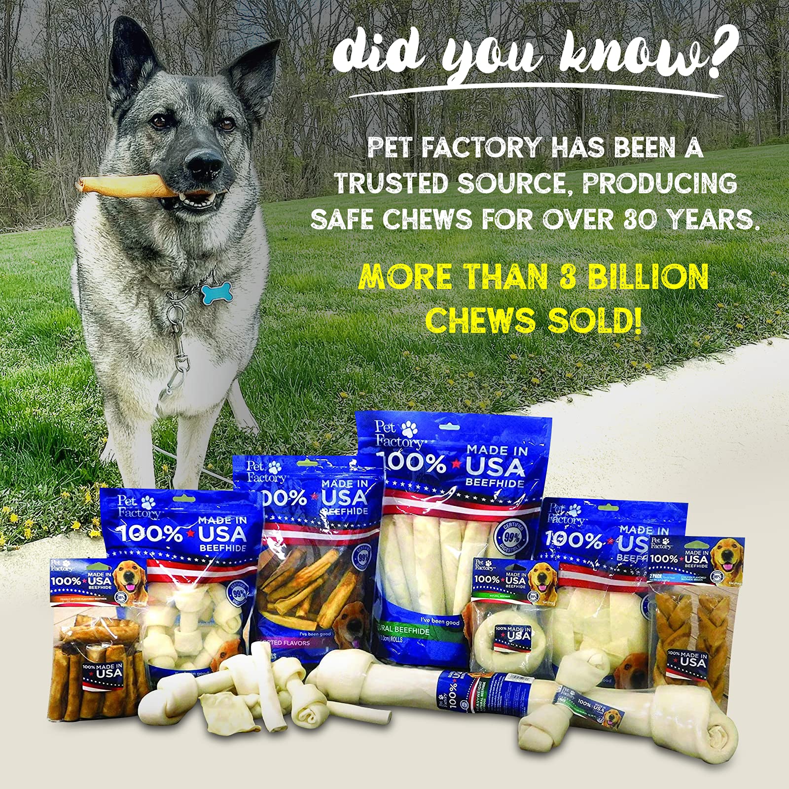 Sante dentaire Pet Factory: croquer peut aider à nettoyer dents et gencives