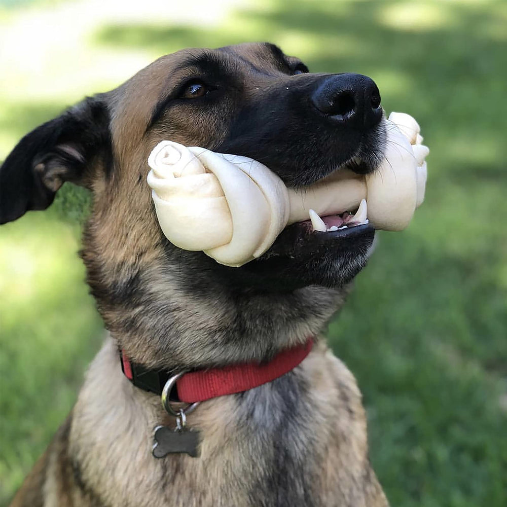 Pet Factory saveur-naturelle: goût authentique sans additifs.