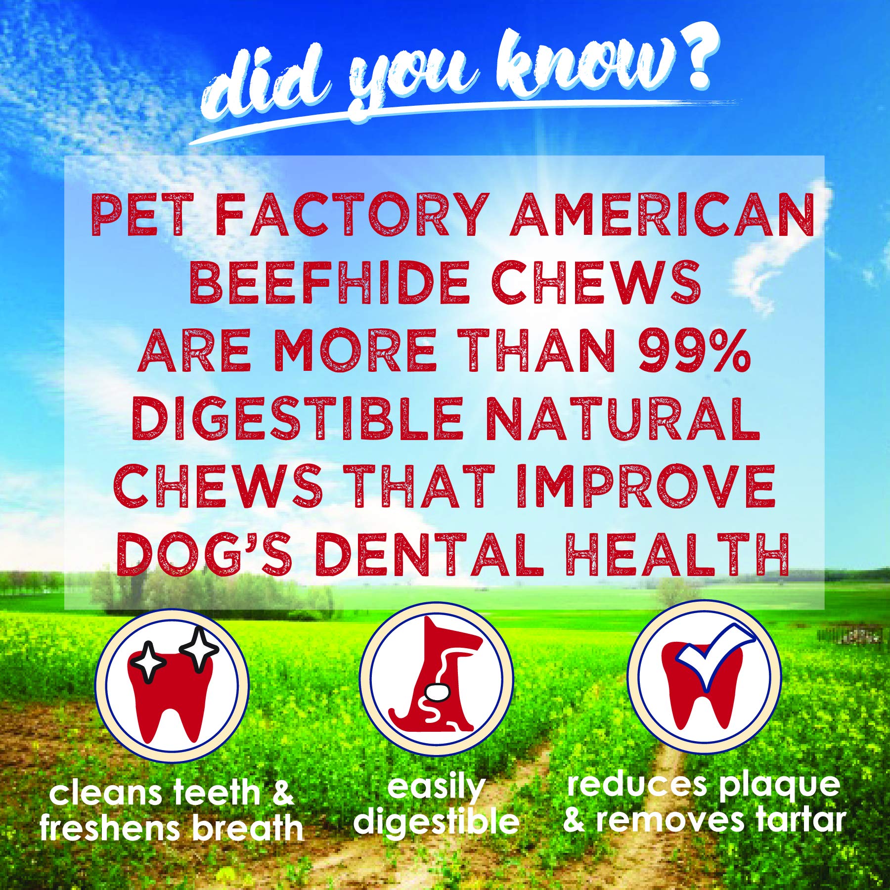 Pet Factory texture-extérieure-durable: surface rugueuse favorisant le nettoyage des dents.