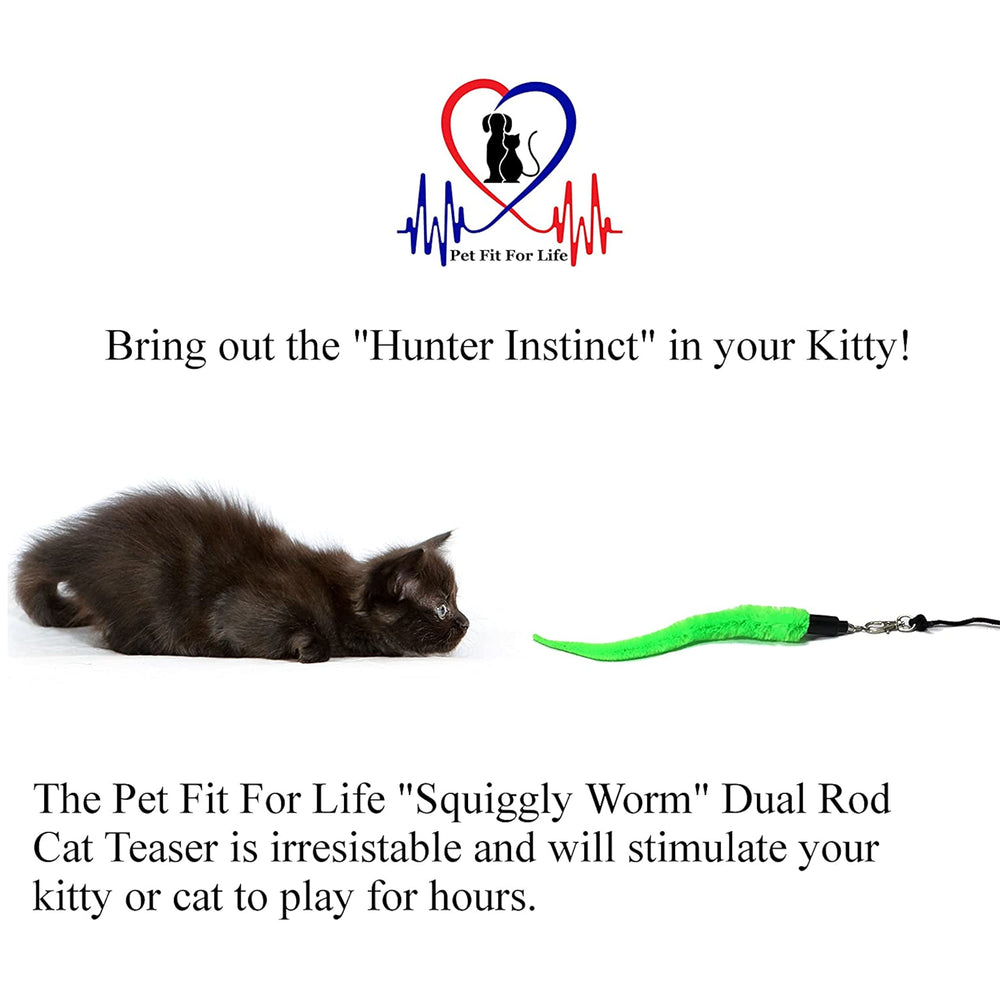 Pet Fit For Life – appât-serpent-chat, exercice et curiosité contrôlée.