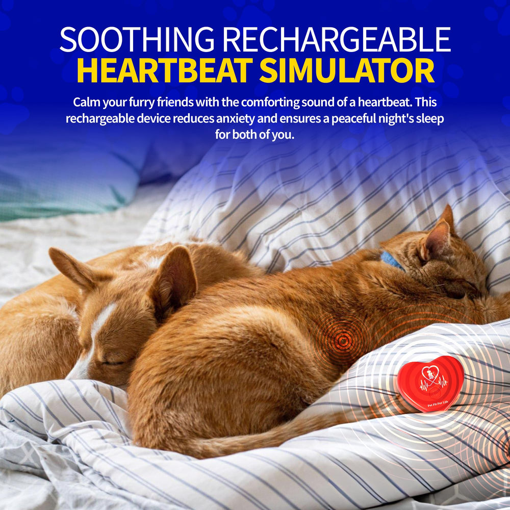 Pet Fit For Life – cœur battant chaton compact, parfait voyage.