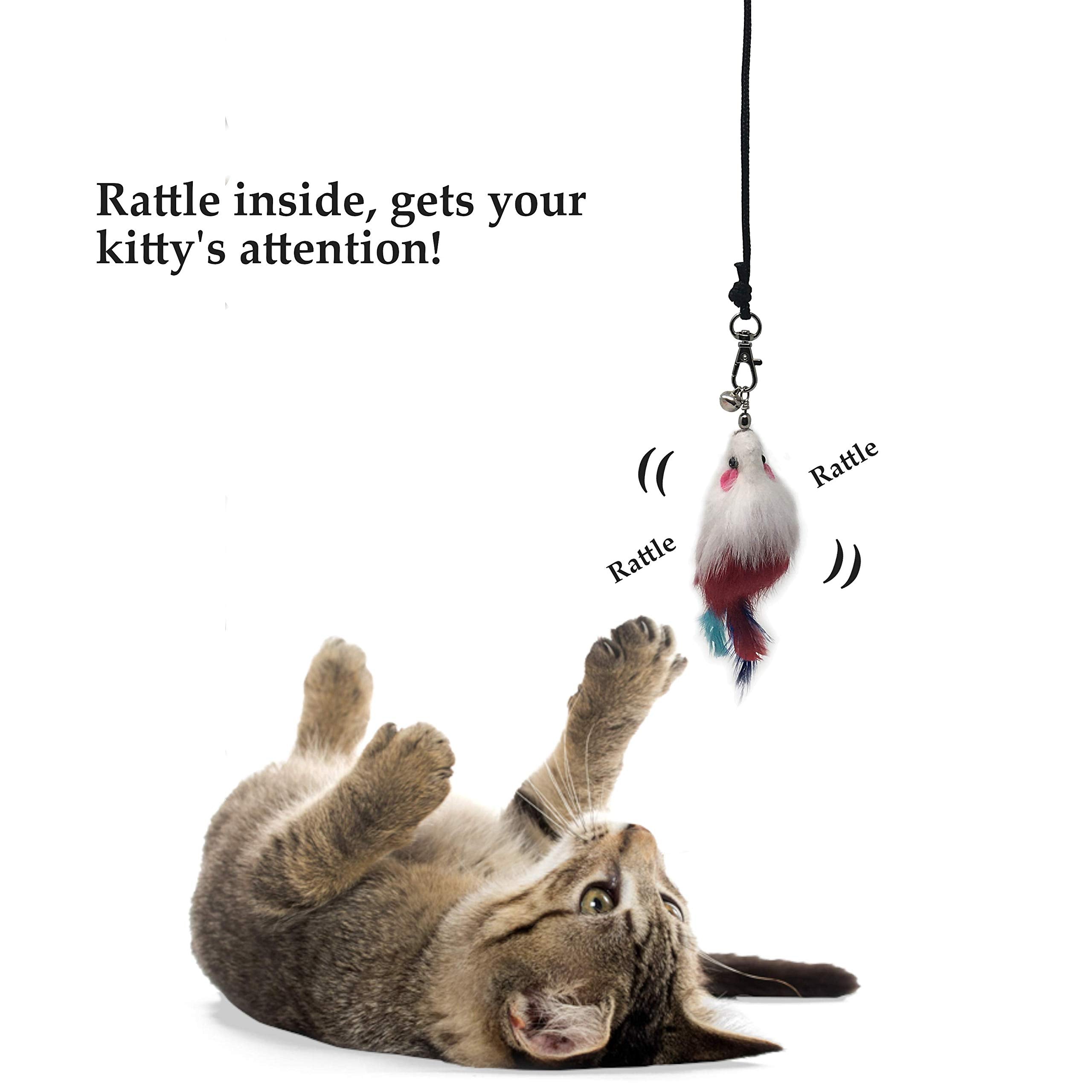 Pet Fit For Life — kit de remplacement pour wand interactif.