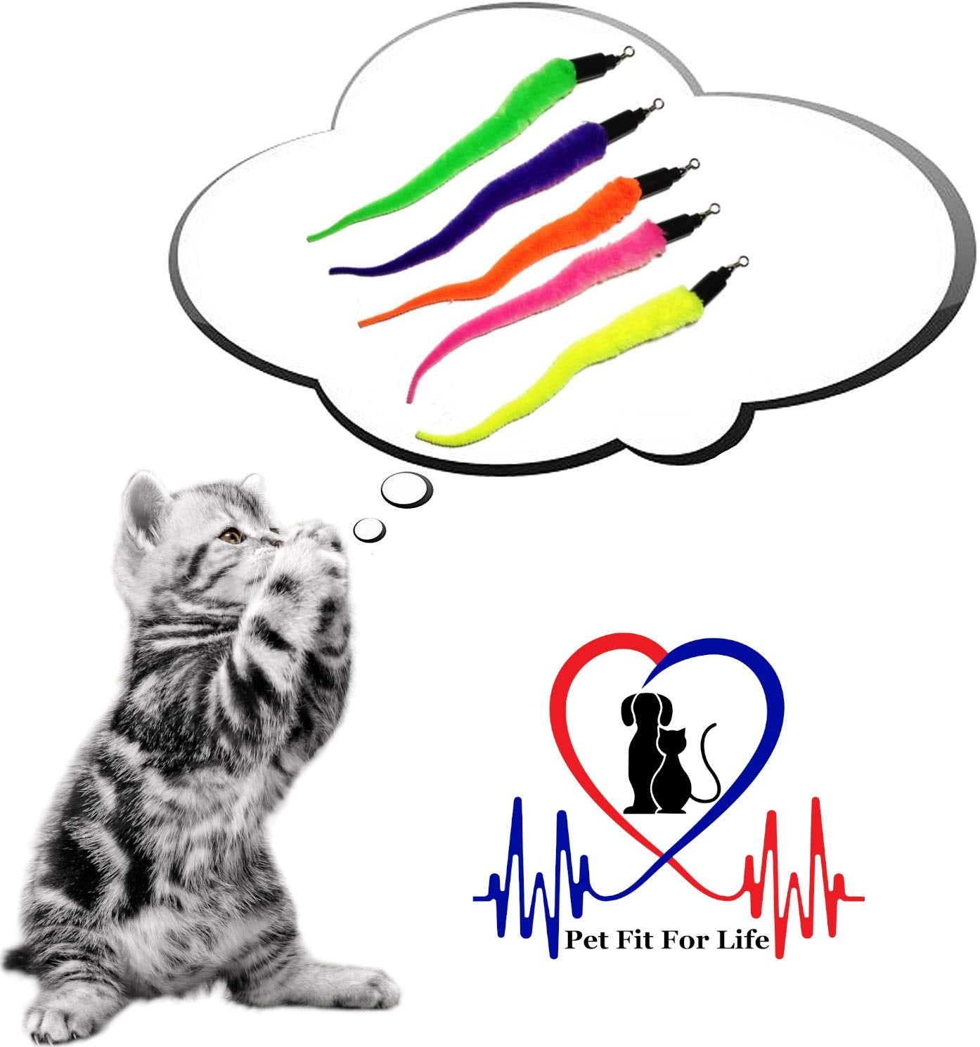 Pet Fit For Life: kit de jouets d'intérieur, durable et sûr pour chats.