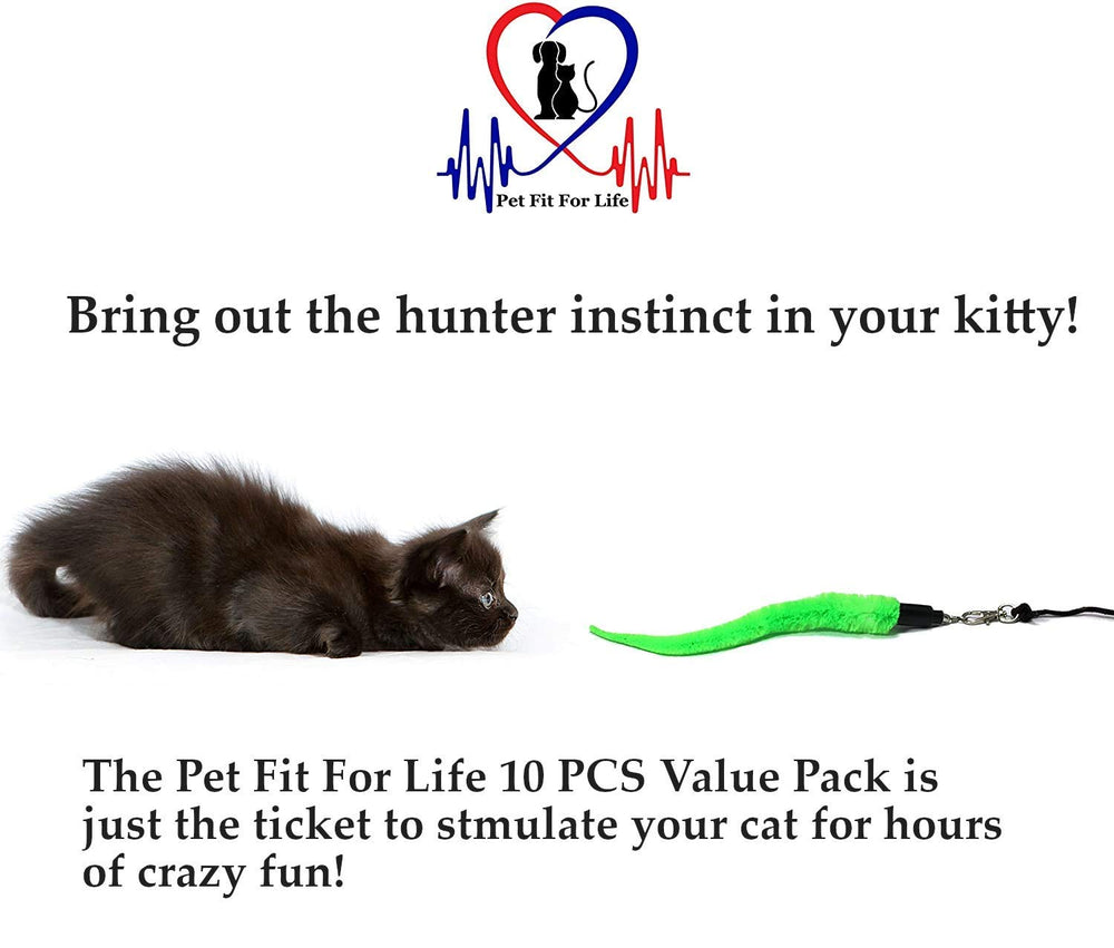 Pet Fit For Life — souris peluche plumes pour changer les sessions.
