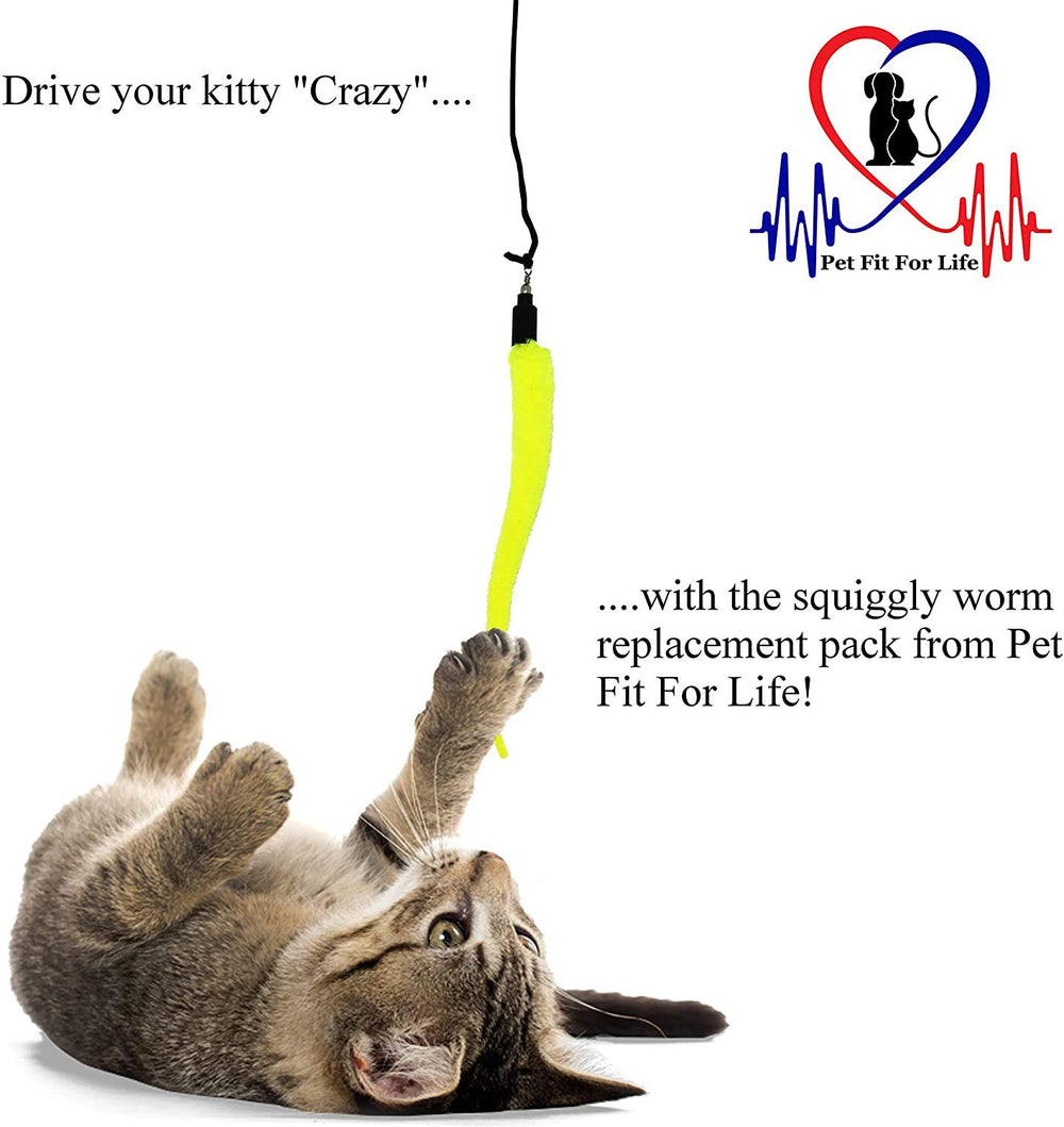 Pet Fit For Life: souris peluche et plumes pour chasse interactive et amusement durable.