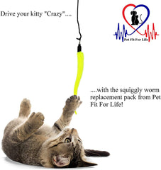 Pet Fit For Life: souris peluche et plumes pour chasse interactive et amusement durable.