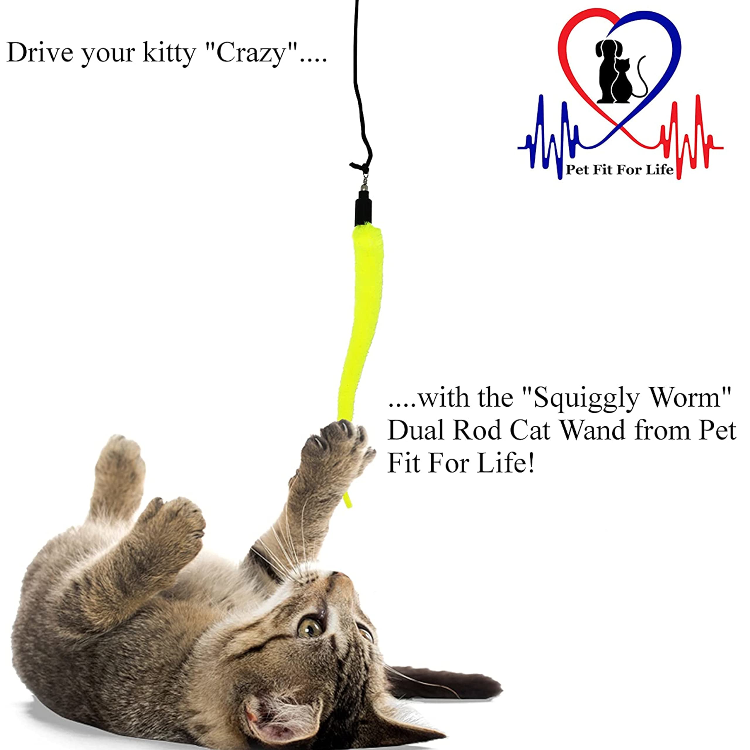 Pet Fit For Life – tige-durable-chat, robustesse pour sessions actives.