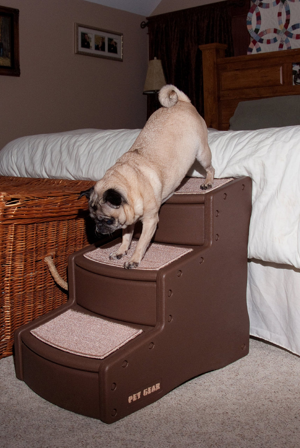 Tapis amovible et lavable de Pet Gear Easy Step III pour entretien facile