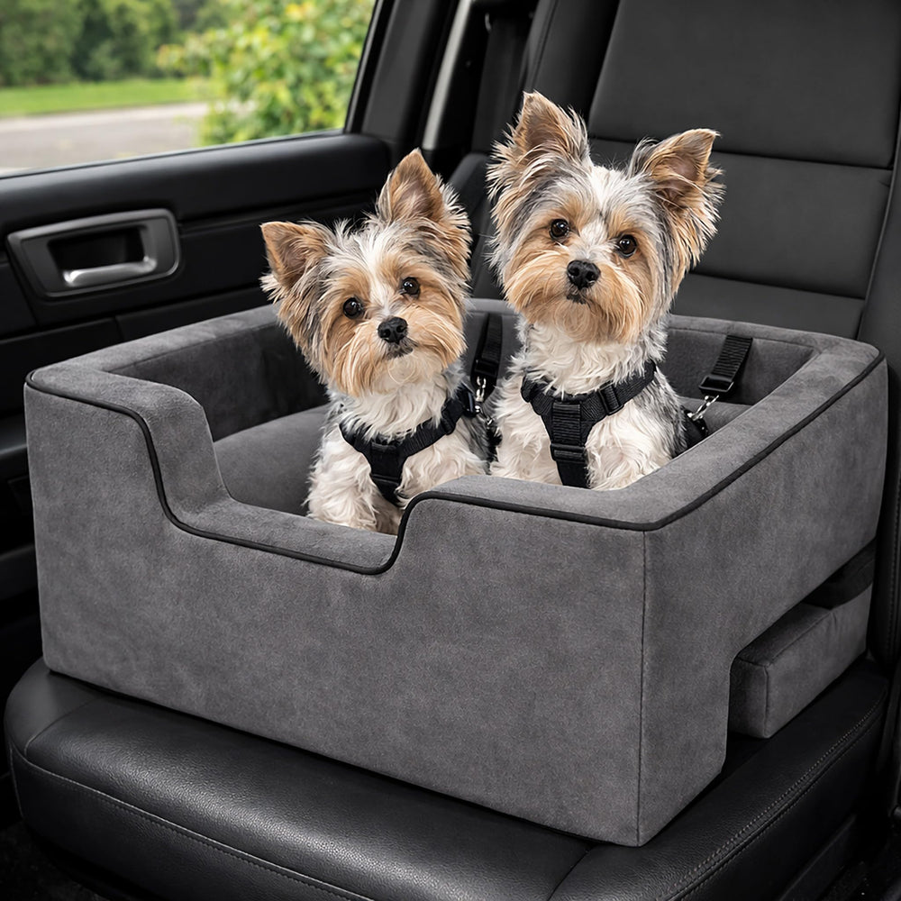 Pet Gear Lookout Booster Seat Charbon Clair, siège sûr et confortable pour trajets en voiture.