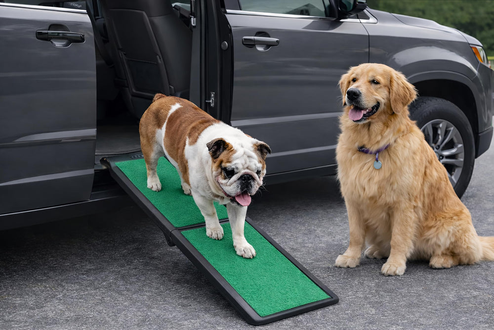 Rampe PET GEAR INC SupertraX avec traction maximale pour chiens et chats.