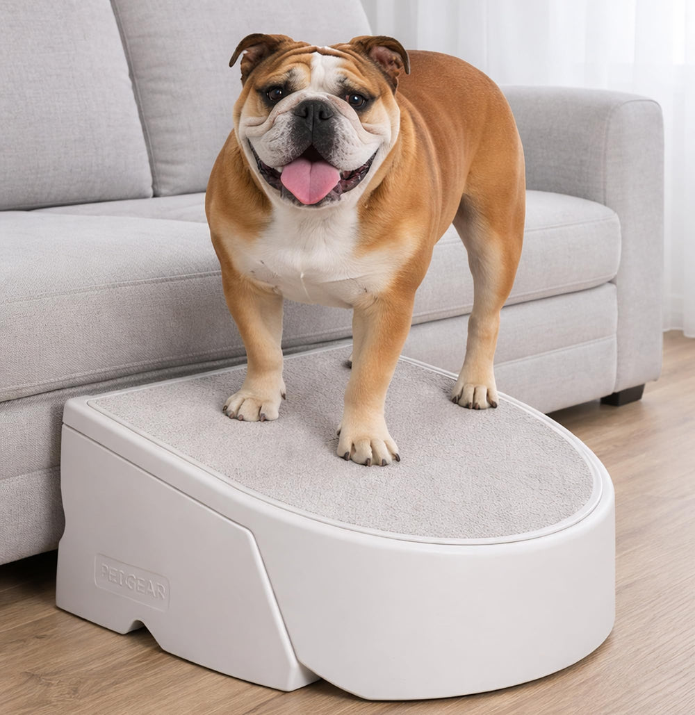 Pet Gear Stramp escalier pour chiens et chats, facilite l’accès au canapé et à la voiture