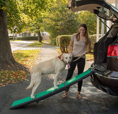 Rampe Pet Gear supertrax pliable tri-fold pour rangement facile.