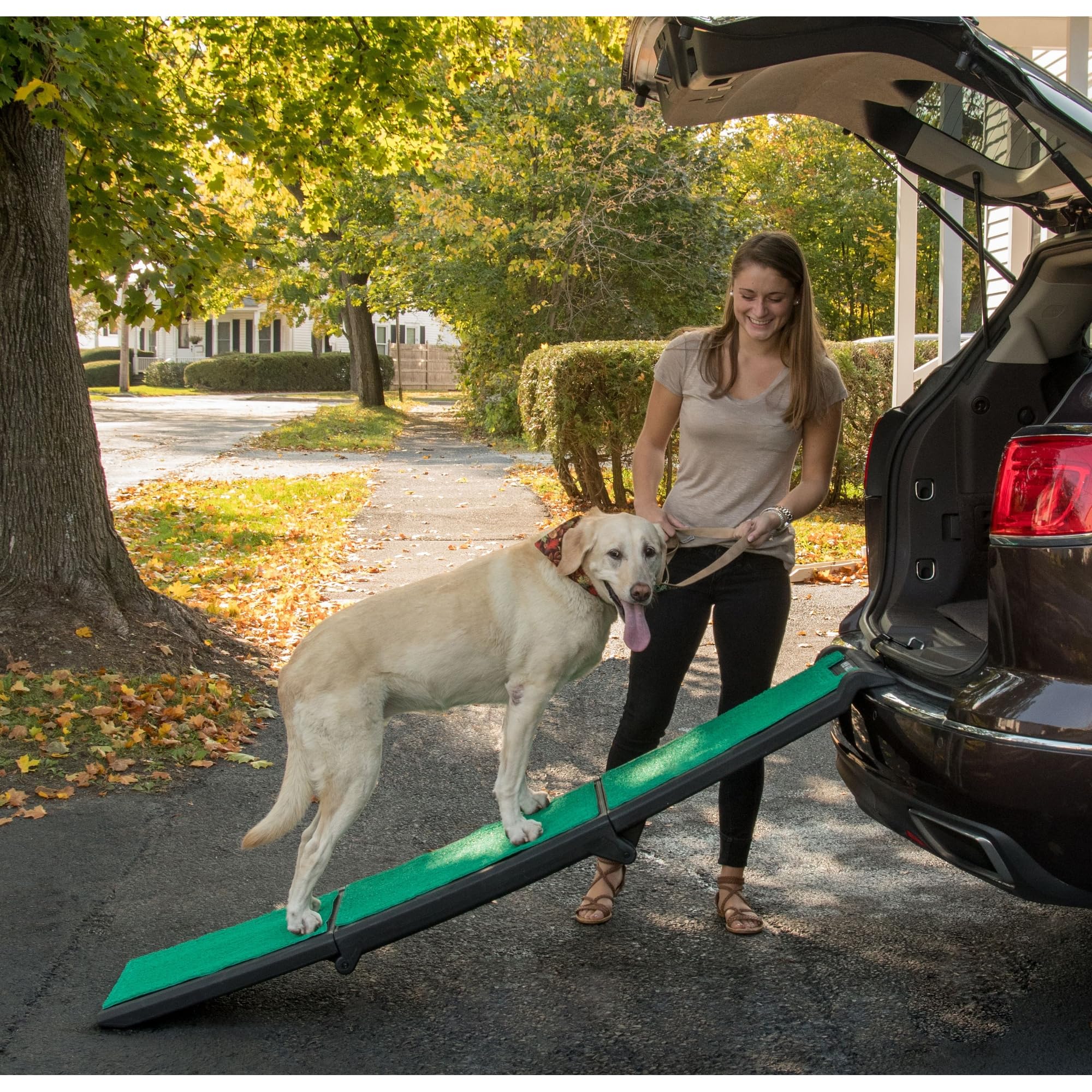 Pet Gear Travel Lite Rampe Emerald SupertraX, accès sûr pour chiens et chats.