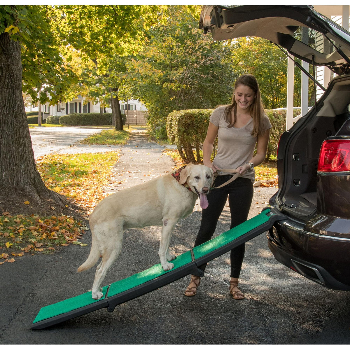 Pet Gear Travel Lite Rampe Emerald SupertraX, accès sûr pour chiens et chats.