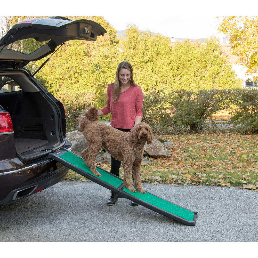 Rampe Pet Gear Travel Lite pliable, facile à ranger et transporter