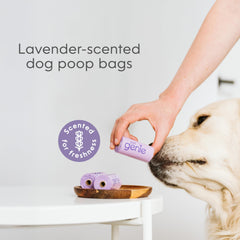 Rouleaux Pet Genie lavande compact et facile a emporter.