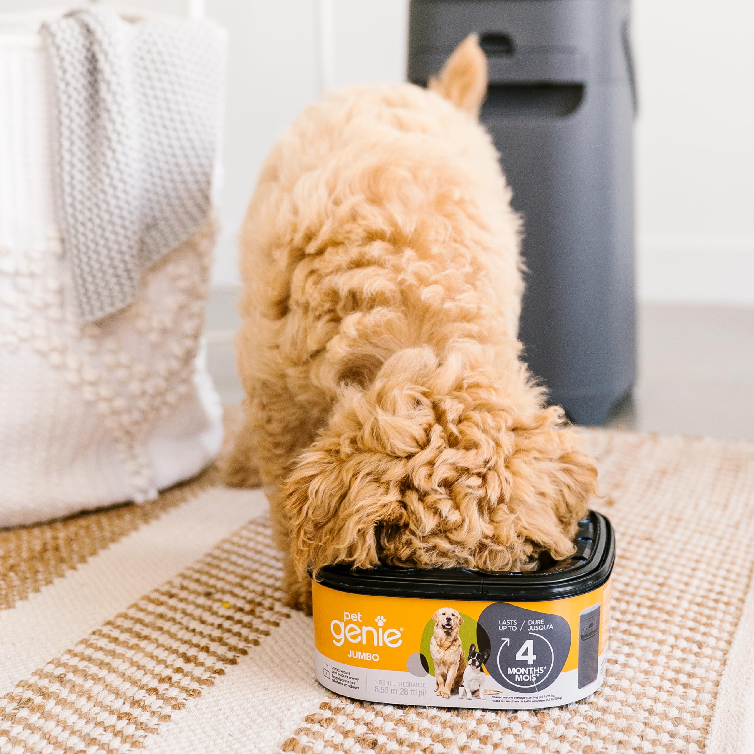 Nettoyage rapide des déchets canins avec Pet Genie