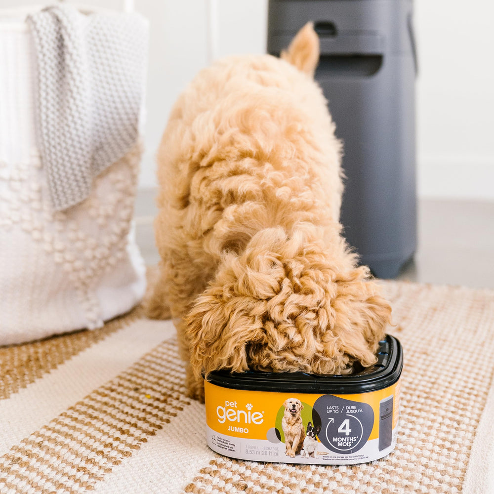 Nettoyage rapide des déchets canins avec Pet Genie