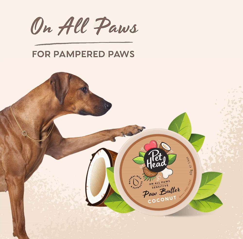 Aloe vera et protéine végétale Pet Head pour des pattes douces.