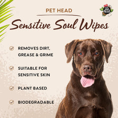 Pet Head Sensitive Soul – parfum coco doux pour chiens et chats.