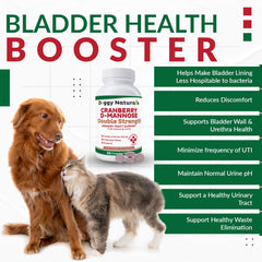 Pet Health Pharma ingrédients Cranberry et D-Mannose, choix naturel pour le bien-être urinaire