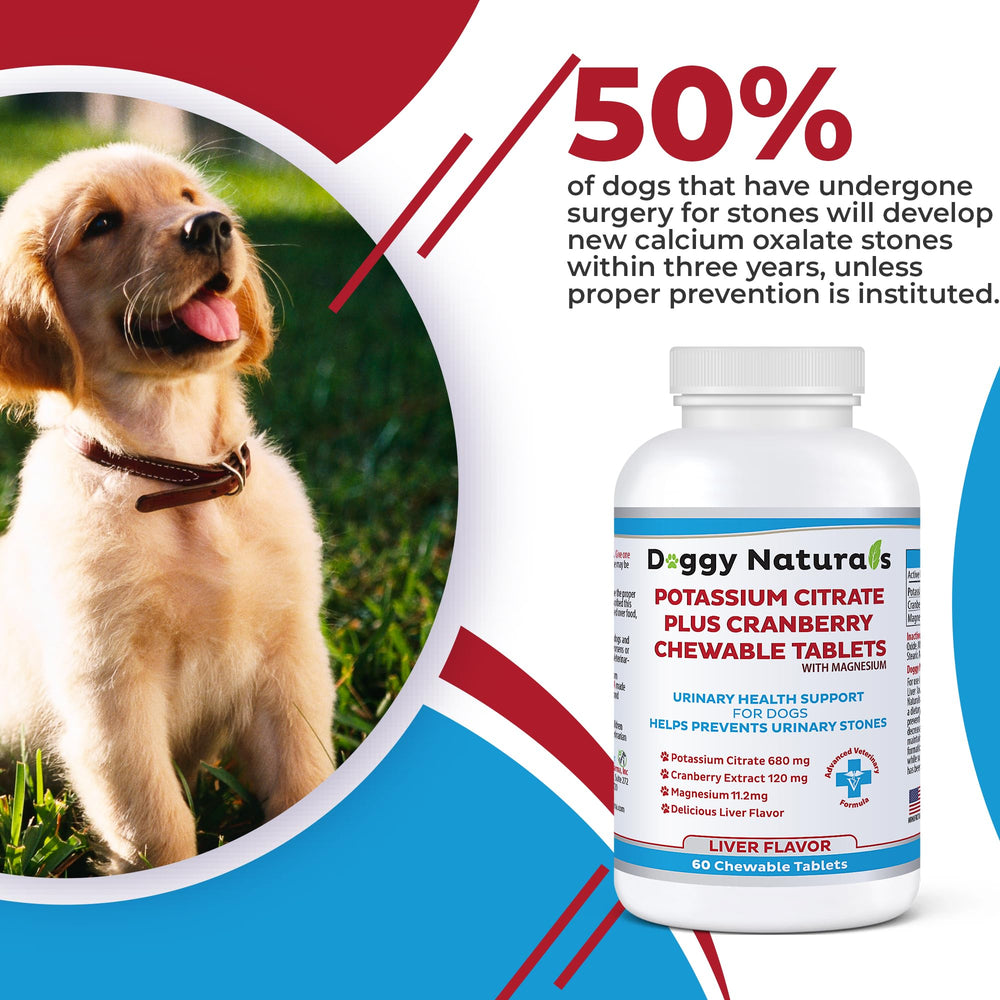 Pet Health Pharma Potassium Citrate Cranberry – emballage 60 comprimés pratique
