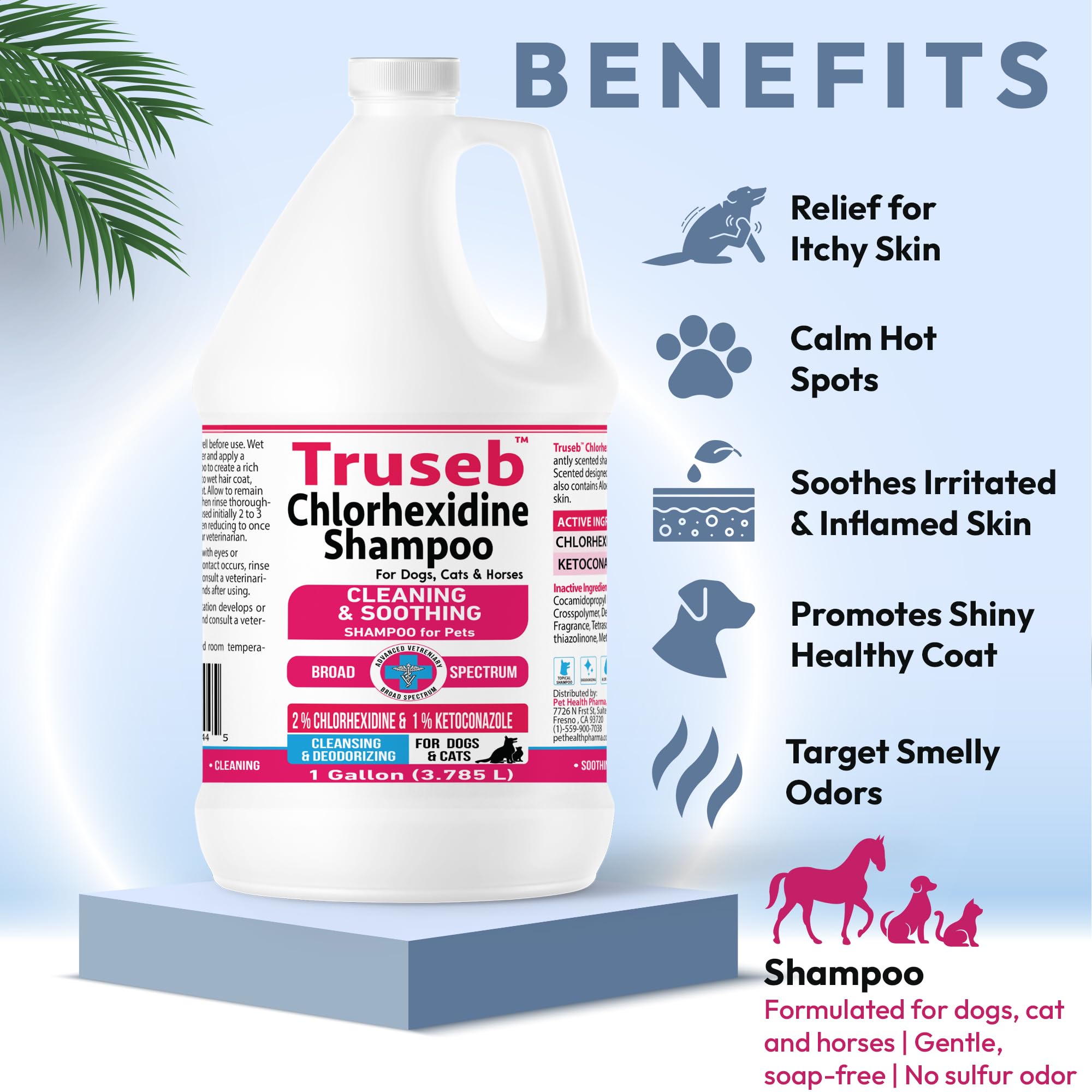 Mousse riche du Shampoing Truseb pour chevaux.