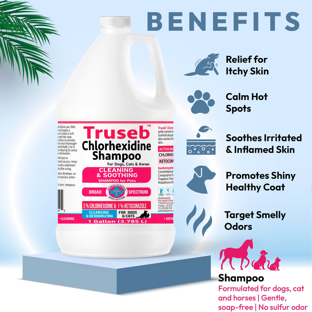 Mousse riche du Shampoing Truseb pour chevaux.