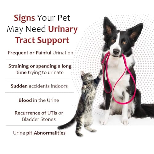 Pet Health Solutions K-Plus Emballage Etiquette: etiquette claire et informations utiles.