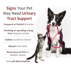 Pet Health Solutions K-Plus Emballage Etiquette: etiquette claire et informations utiles.