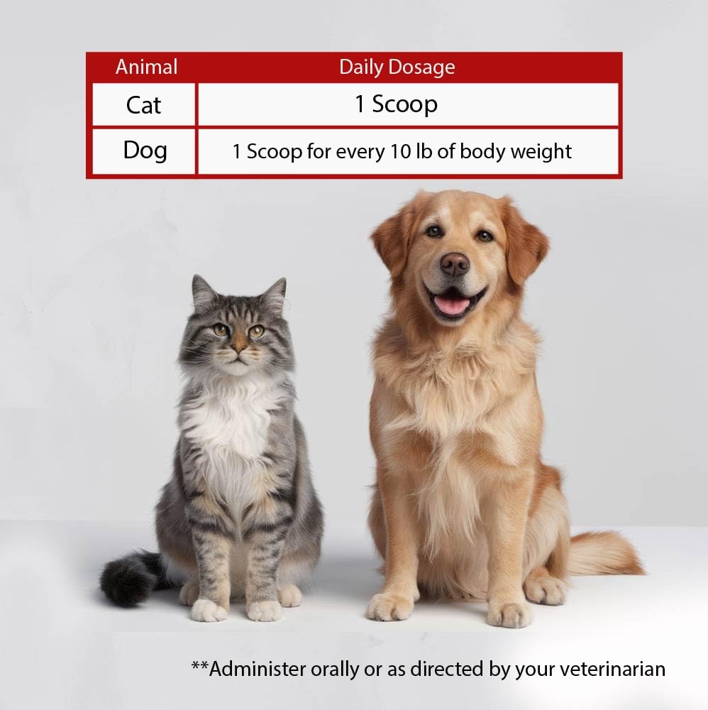 Pet Health Solutions K-Plus Sante Renale: peut aider au maintien de la fonction renale.