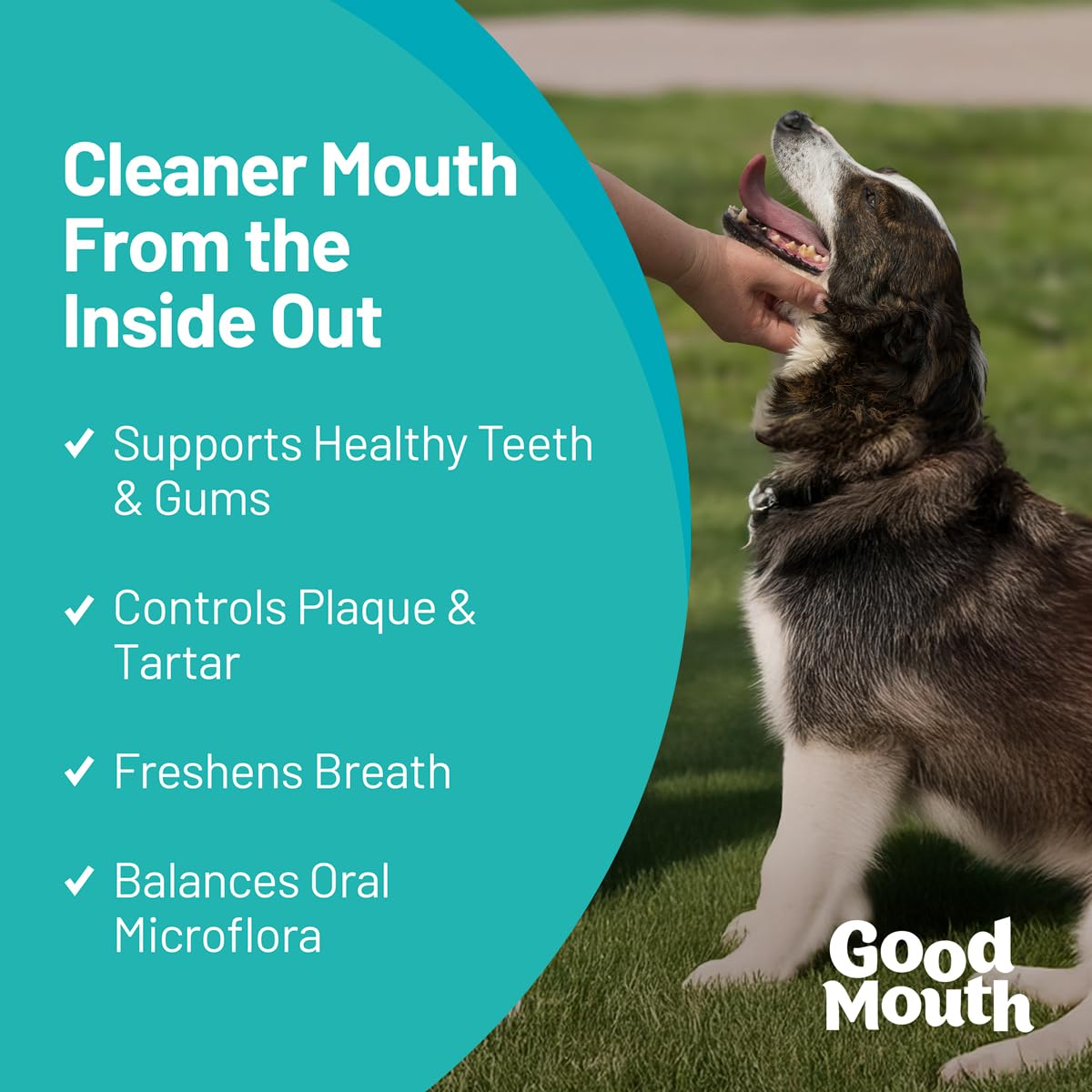 Good Mouth Chews texture molle, mastication facile et confort dentaire.