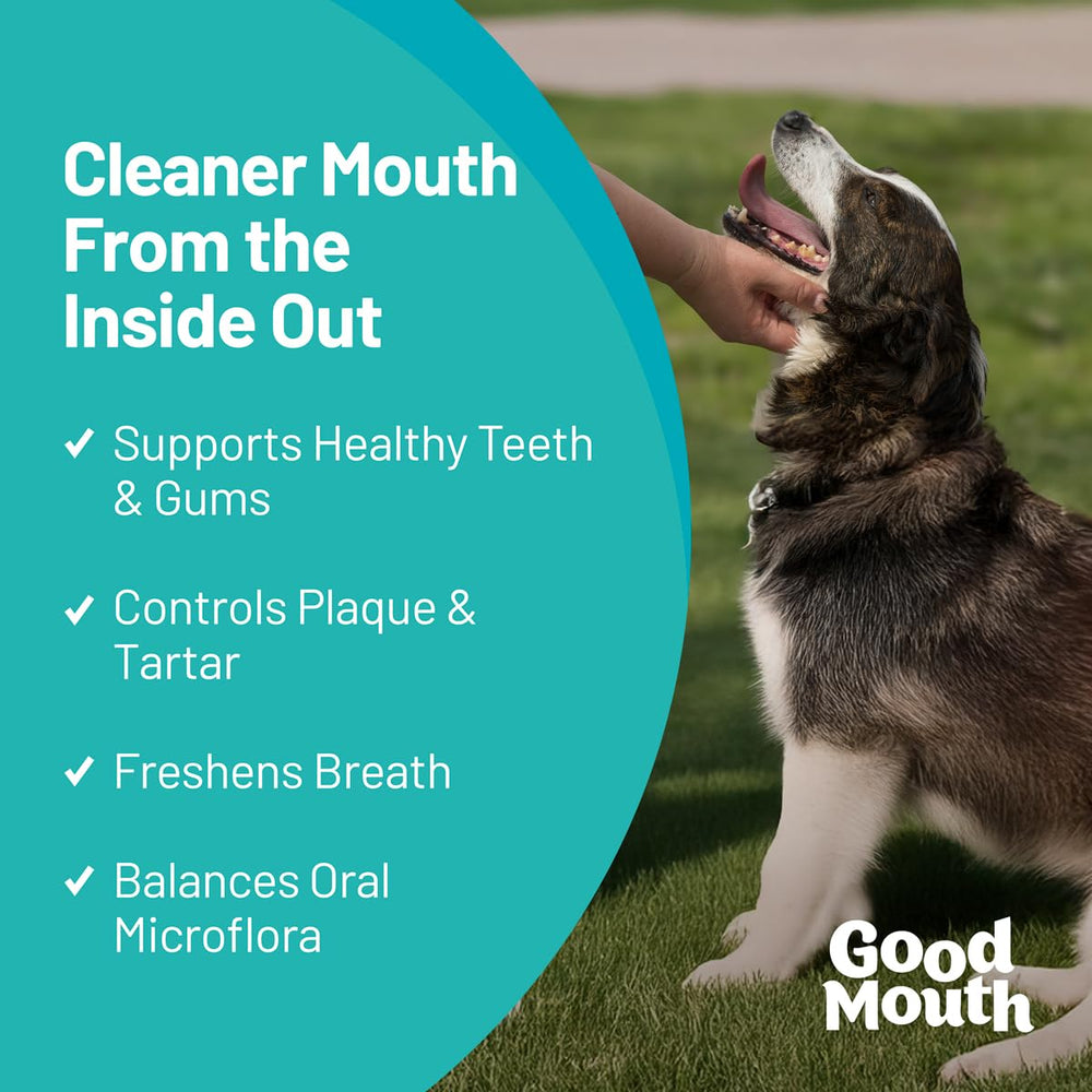 Good Mouth Chews texture molle, mastication facile et confort dentaire.