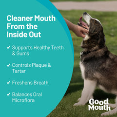 Good Mouth Chews texture molle, mastication facile et confort dentaire.