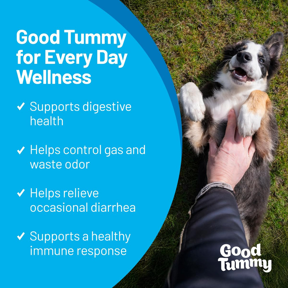 Bouchées goût bœuf Pet HealthWorks Good Tummy, appétentes et bénéfiques pour digestion.