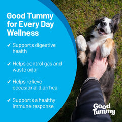 Bouchées goût bœuf Pet HealthWorks Good Tummy, appétentes et bénéfiques pour digestion.