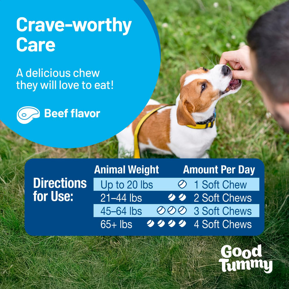 Goût bœuf Pet HealthWorks Good Tummy Chews, option savoureuse pour soutenir la régularité.