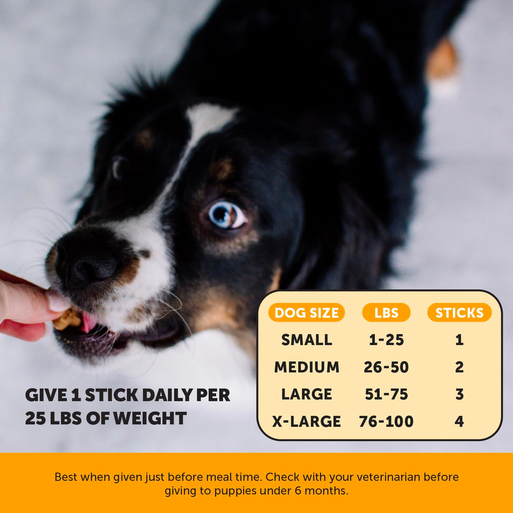 Pet Honesty Allergy Support Fresh Dental Sticks — texture ferme pour nettoyage dentaire quotidien