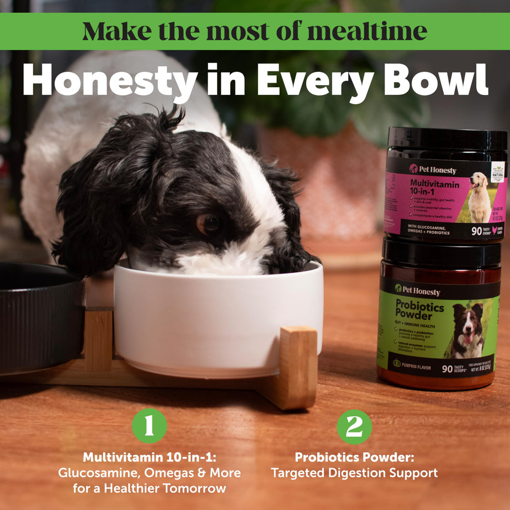 Pet Honesty bentonite citrouille poudre, apport minéral et soutien digestif.