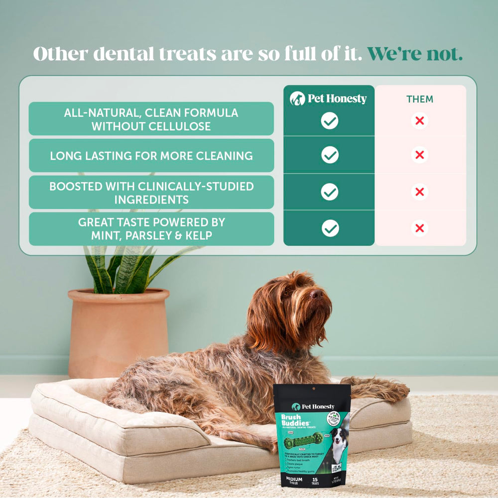 Goût menthe et persil apprécié par les chiens avec Brush Buddies