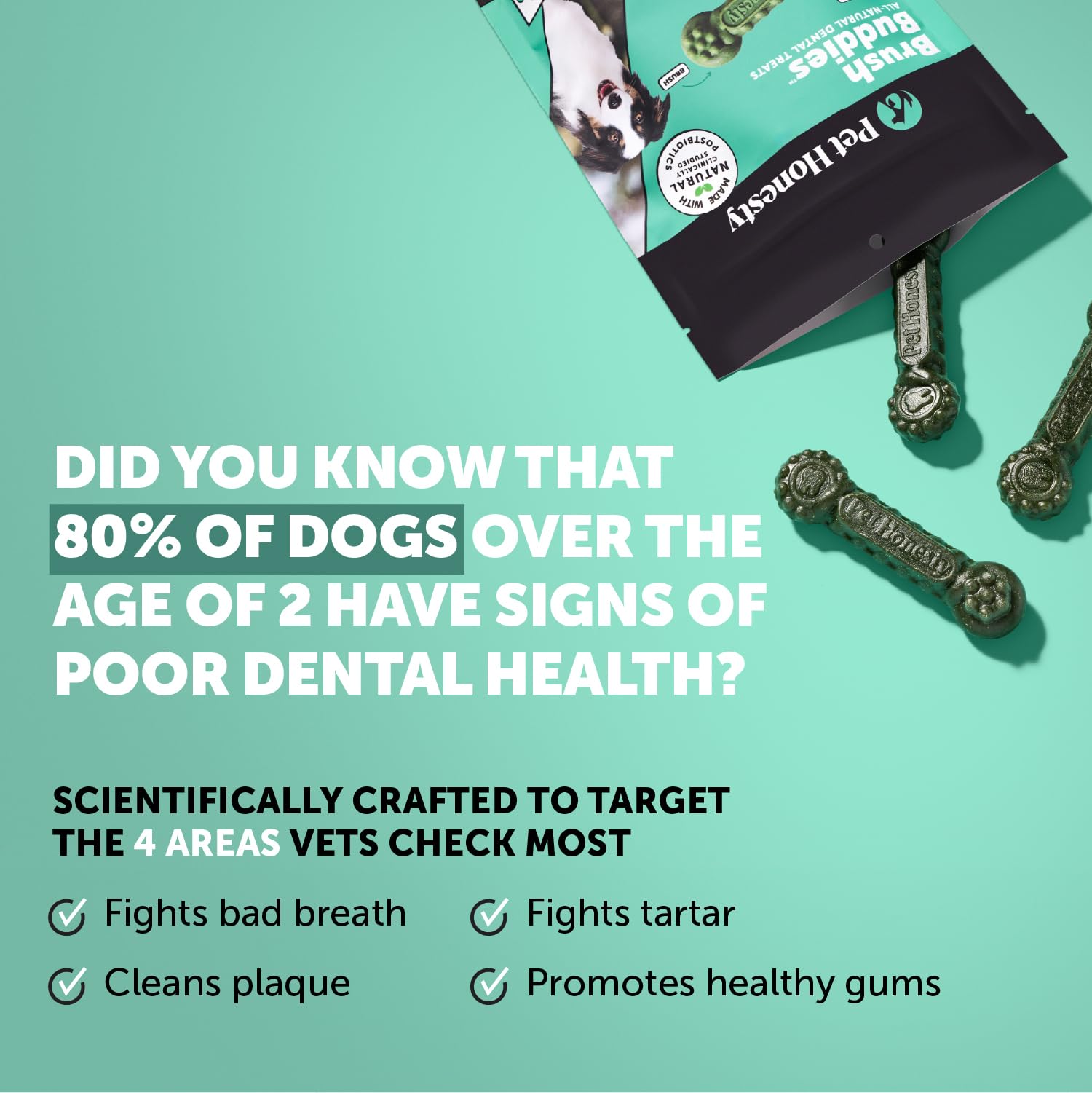 Haleine fraîche du chien avec Brush Buddies menthe et persil